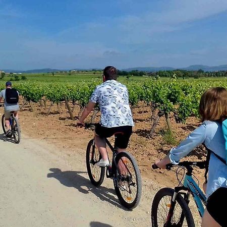 Tina De Vila, En La Capital Del Vino Vilafranca del Penedès Dış mekan fotoğraf