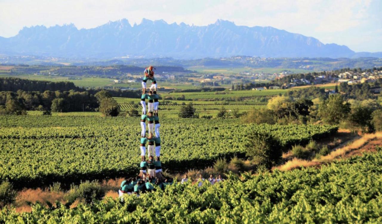 Tina De Vila, En La Capital Del Vino Vilafranca del Penedès Dış mekan fotoğraf