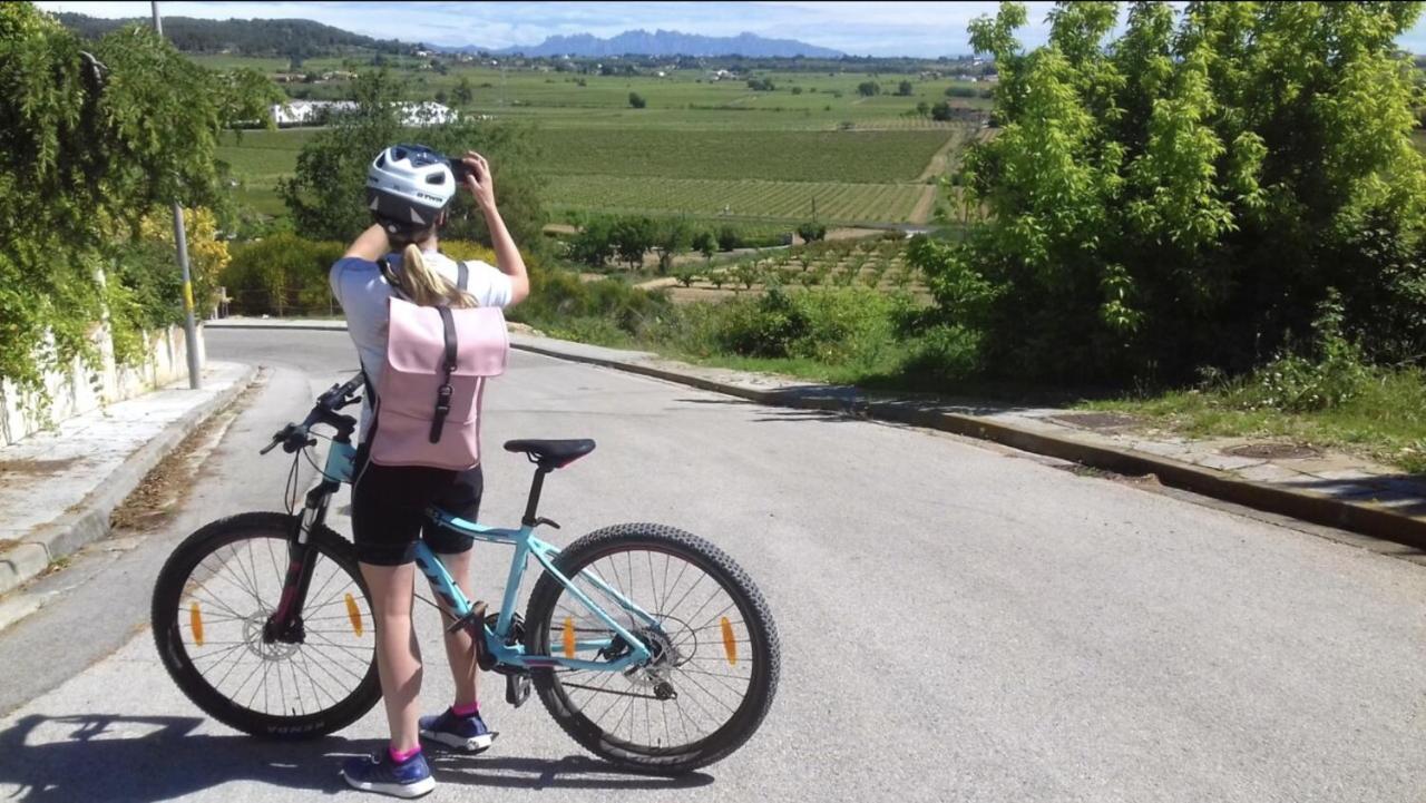 Tina De Vila, En La Capital Del Vino Vilafranca del Penedès Dış mekan fotoğraf